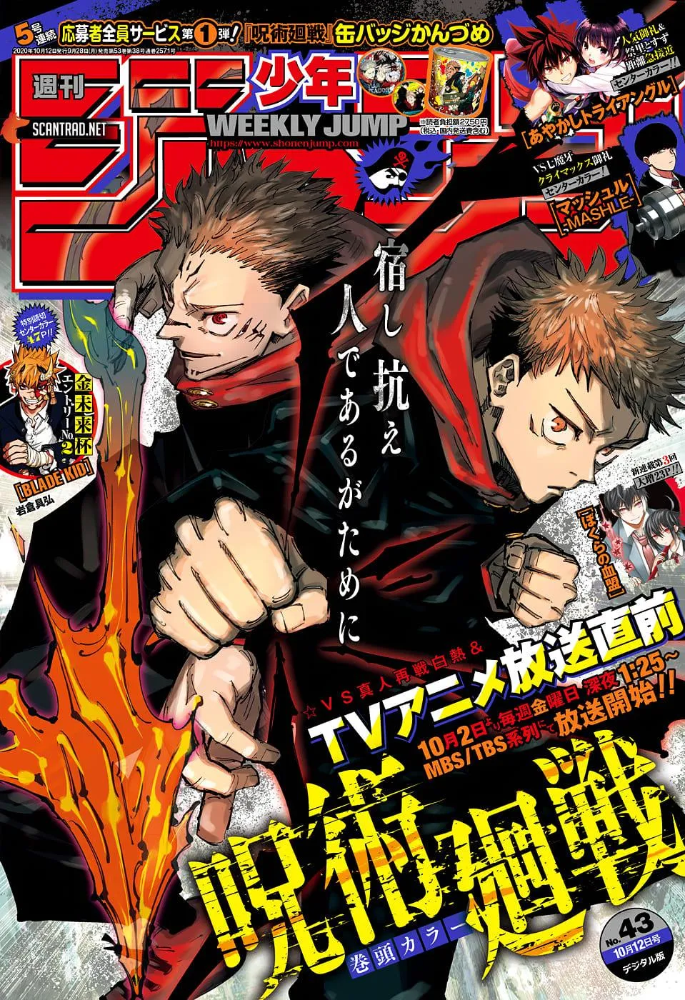 Jujutsu Kaisen - 123 - 6550f004de22b.webp