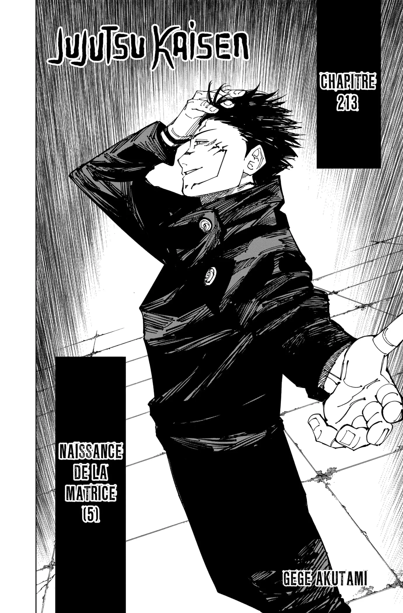 Jujutsu Kaisen - 213 - 6550f311d171a.webp
