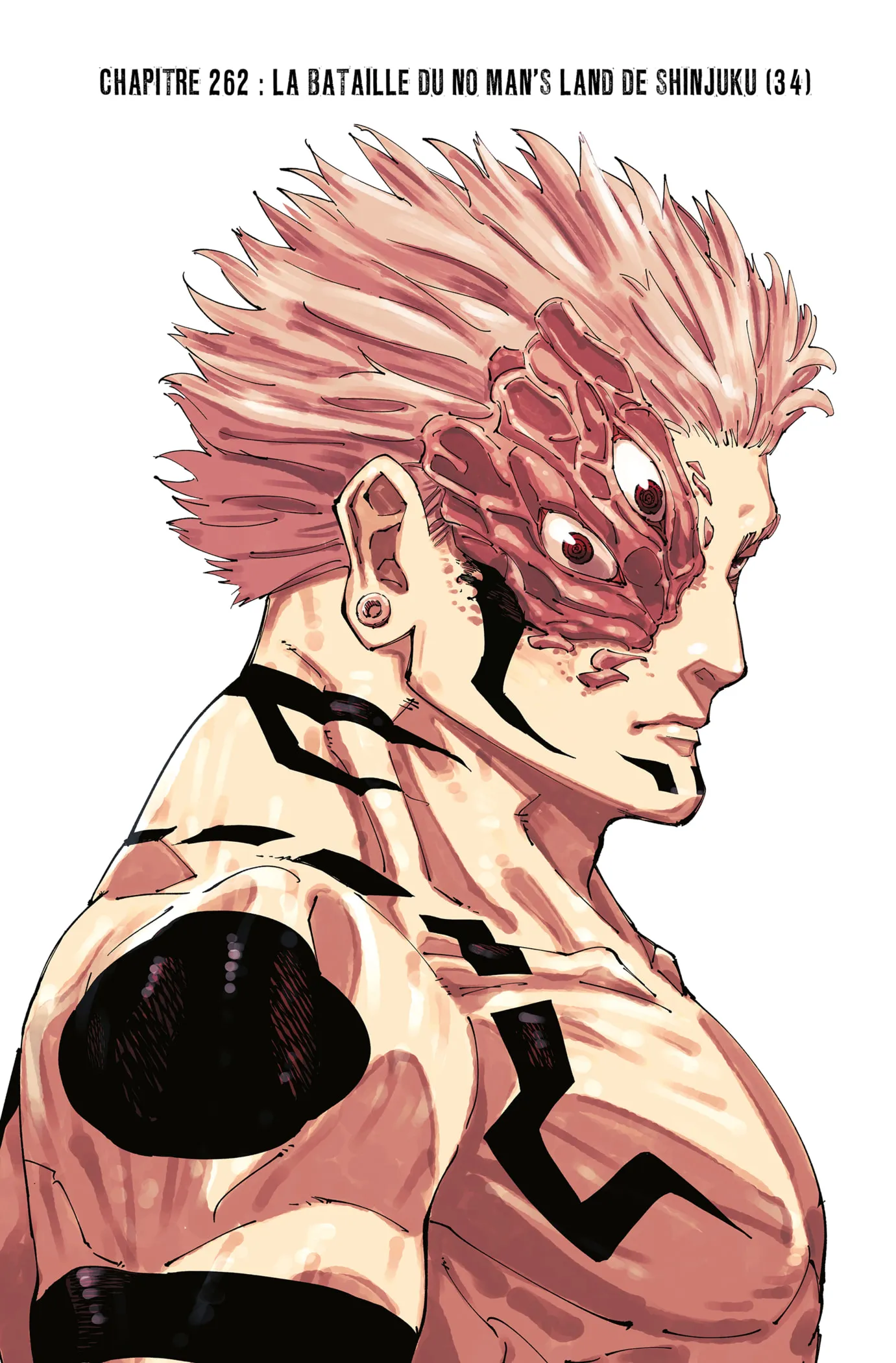 Jujutsu Kaisen - 262 - 6665d0ed15d27_qCwJ.webp