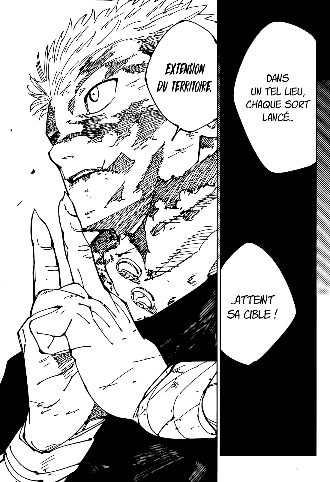 Jujutsu Kaisen - 264 - 66a384ffee372_RMjj.webp