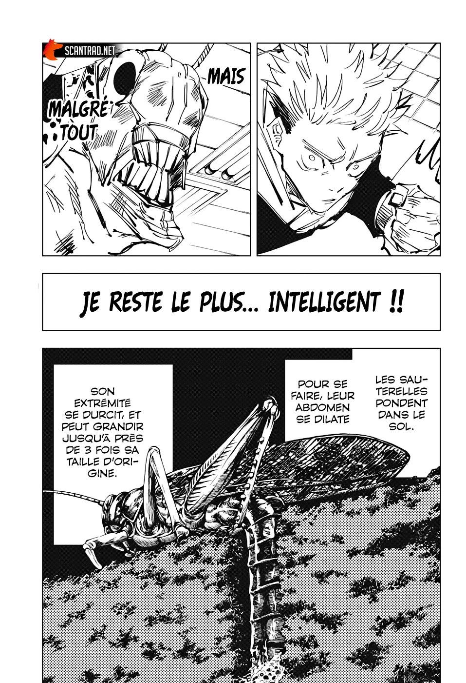 Jujutsu Kaisen - 87 - 6550ef61b1097.webp