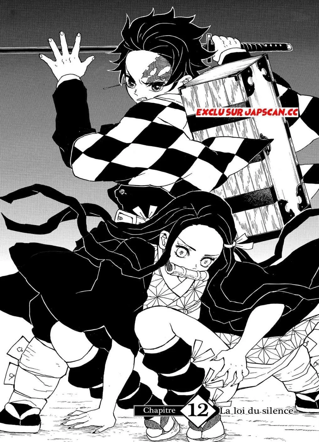 Kimetsu No Yaiba - 12 - 65513a181c74b.webp