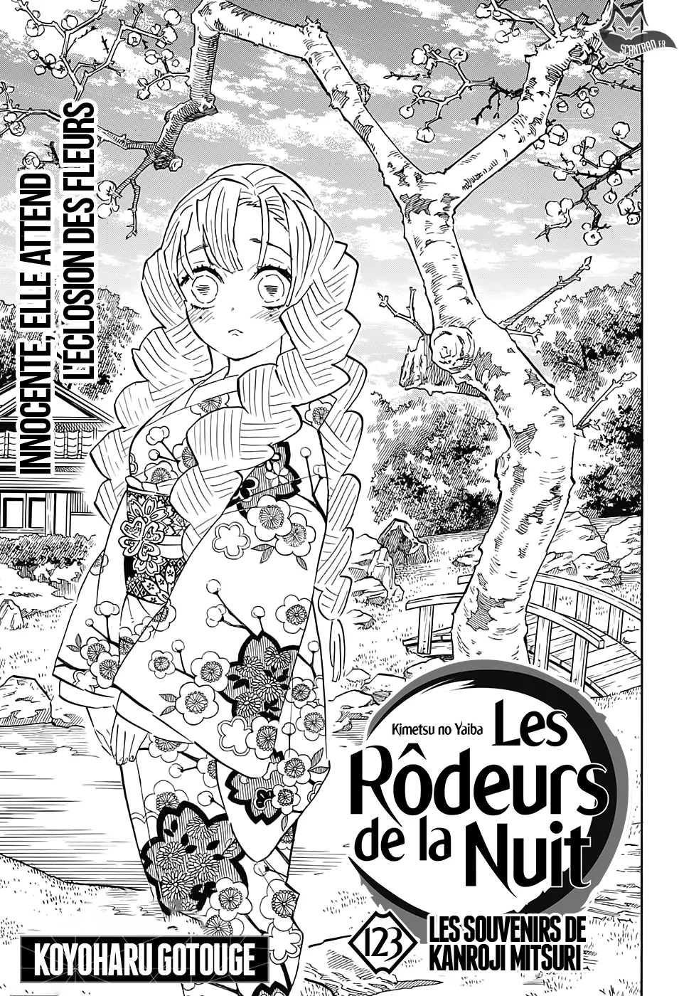 Kimetsu No Yaiba - 123 - 65513a3094bd4.webp