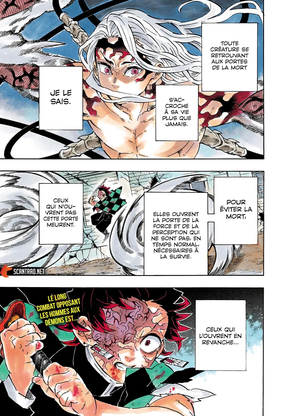 Kimetsu No Yaiba - 193 - 65513c0589401.webp