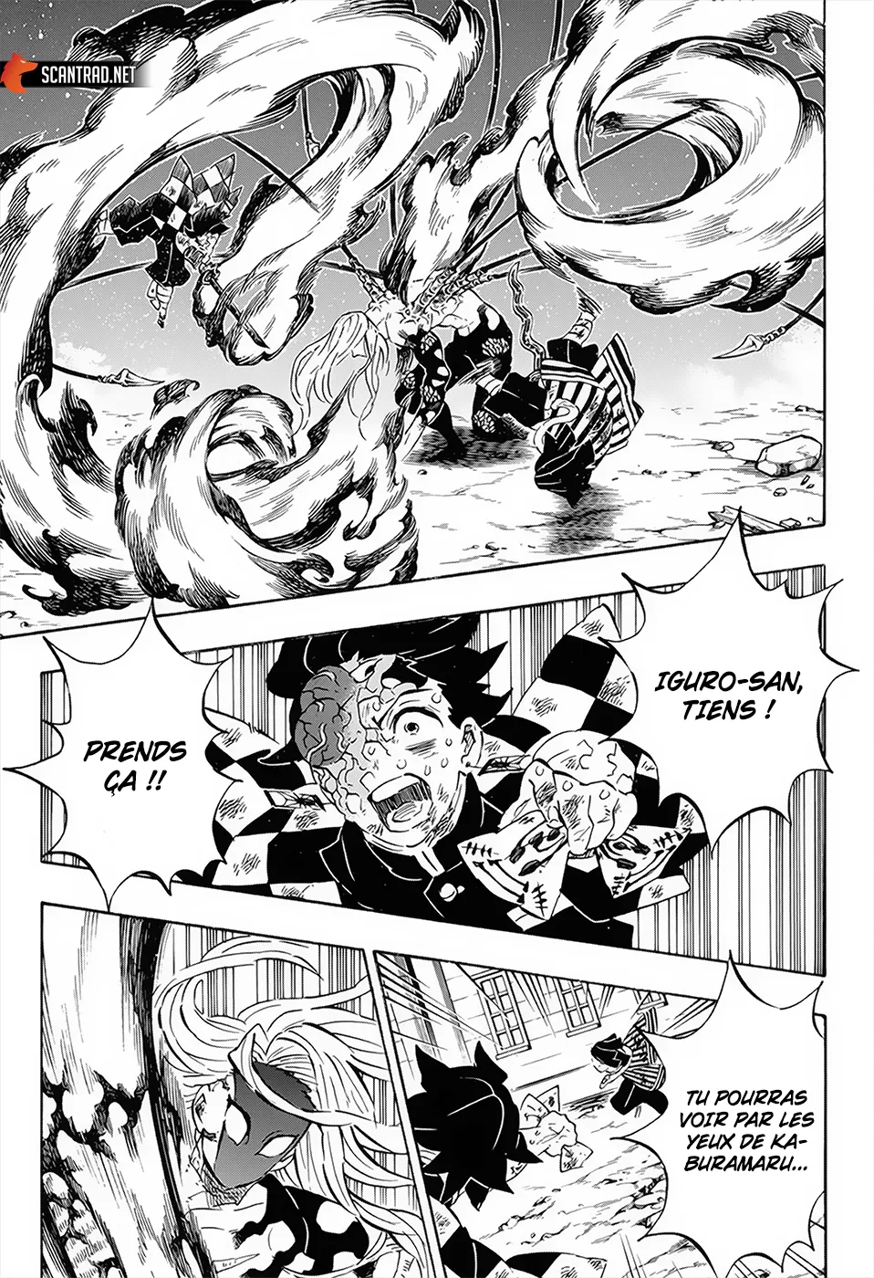 Kimetsu No Yaiba - 195 - 65513c160de78.webp