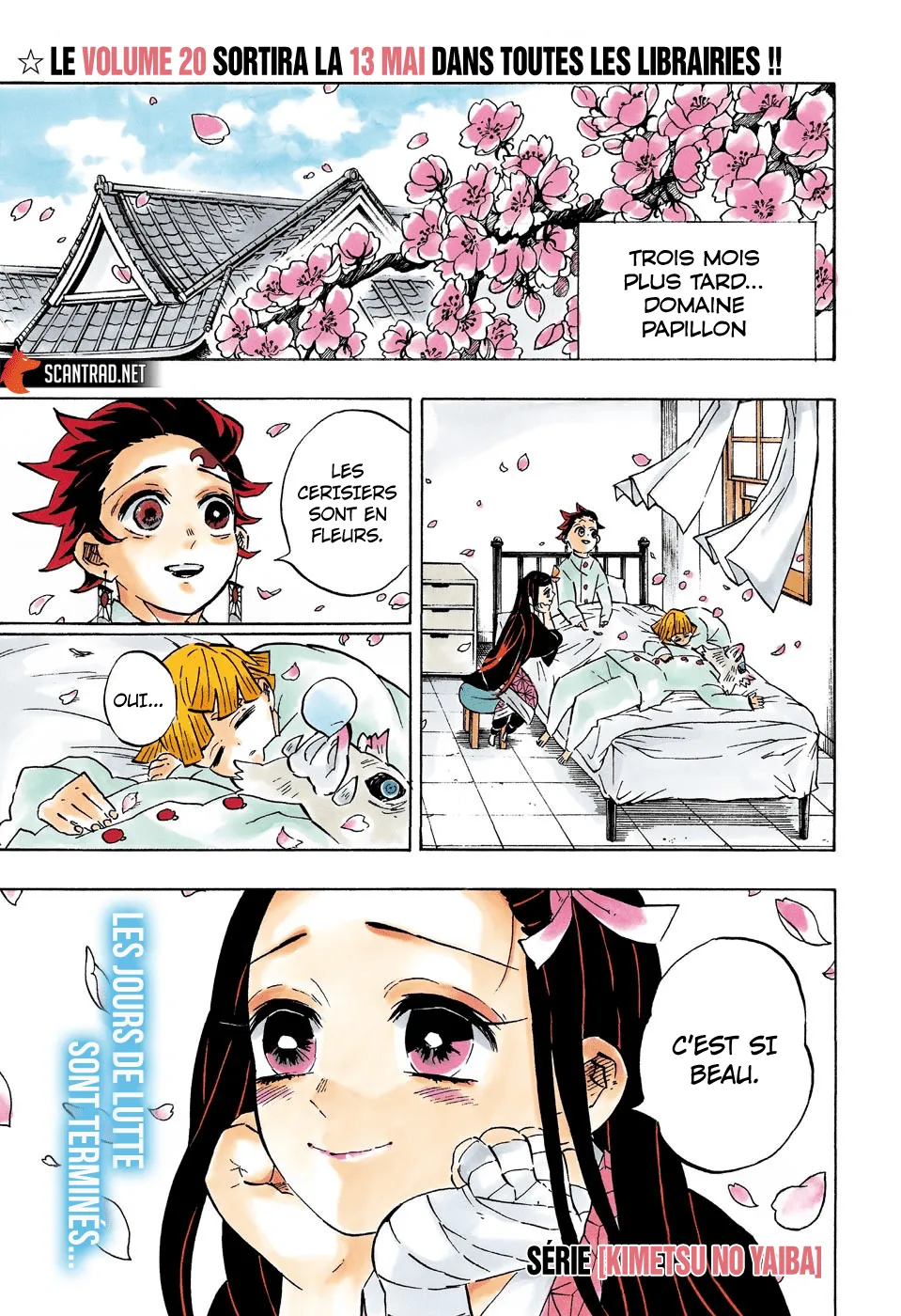 Kimetsu No Yaiba - 204 - 65513c549cb77.webp