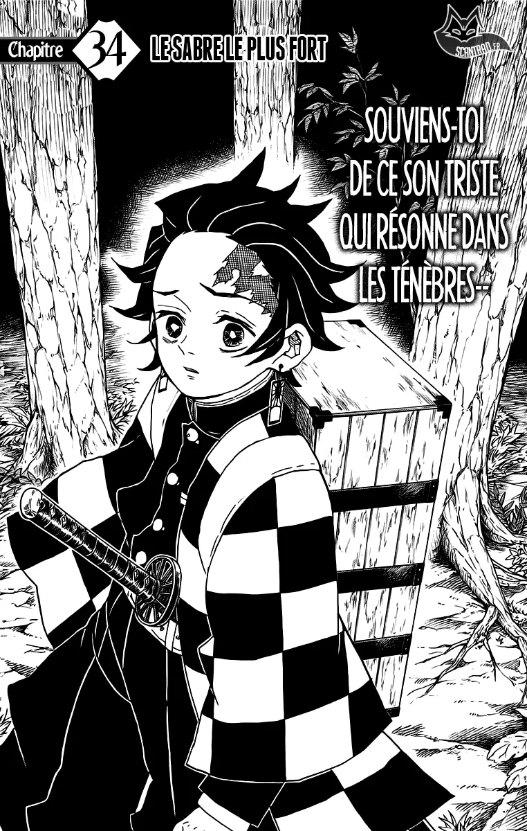 Kimetsu No Yaiba - 34 - 65513cac2ae6e.webp
