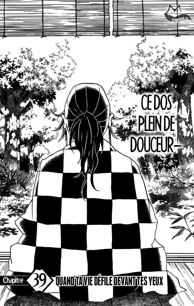Kimetsu No Yaiba - 39 - 65513cc0bfd28.webp