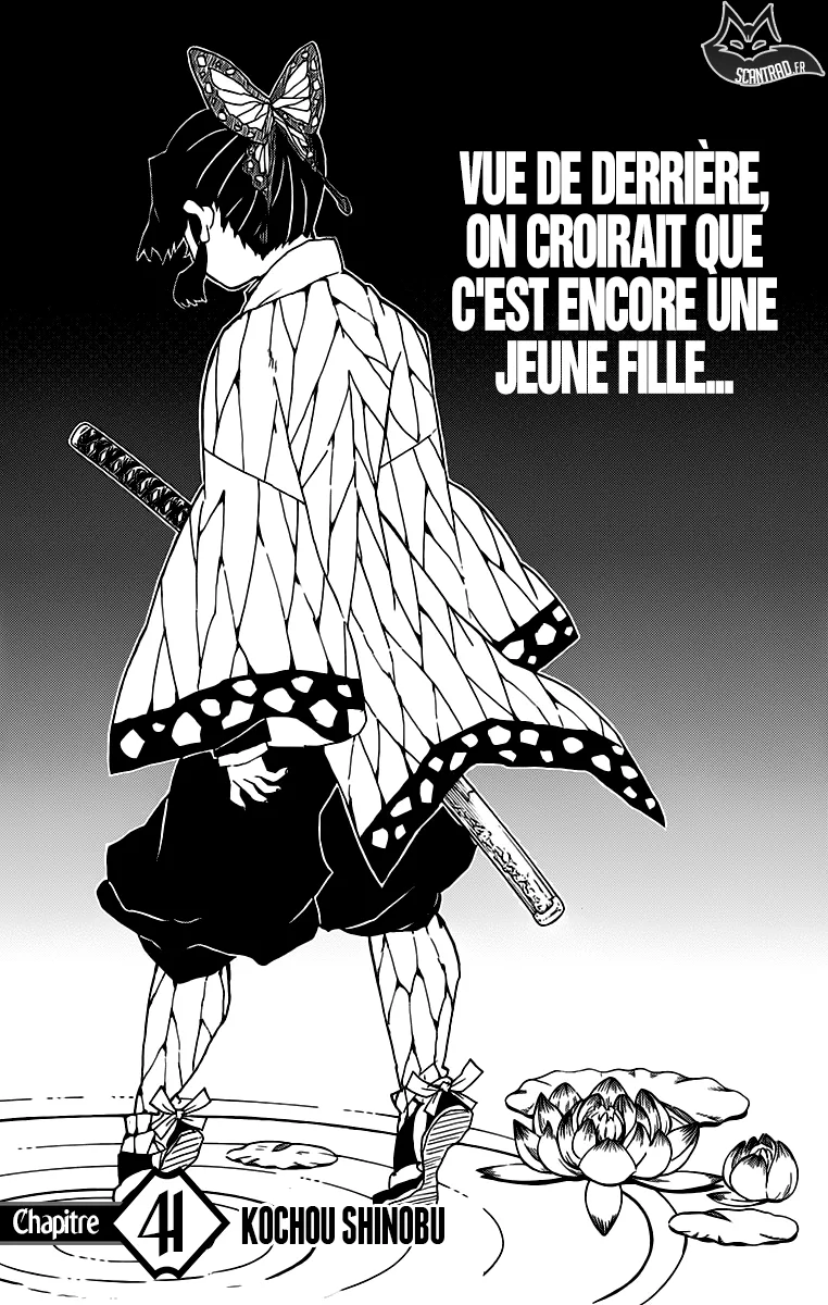 Kimetsu No Yaiba - 41 - 65513cce02dbc.webp