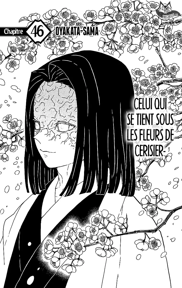 Kimetsu No Yaiba - 46 - 65513ce211986.webp