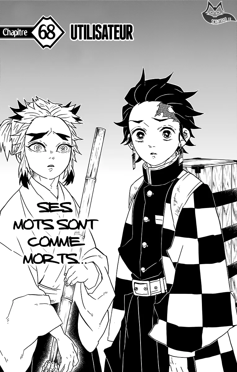 Kimetsu No Yaiba - 68 - 65513d46d50ce.webp