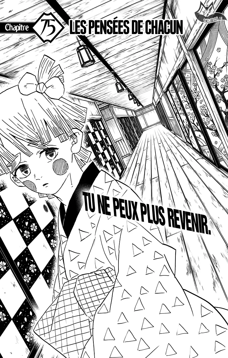 Kimetsu No Yaiba - 75 - 65513d69477d7.webp