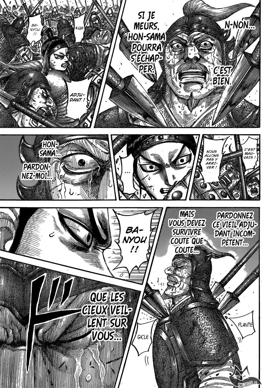 Kingdom - 542 - 6554173c6be52.webp