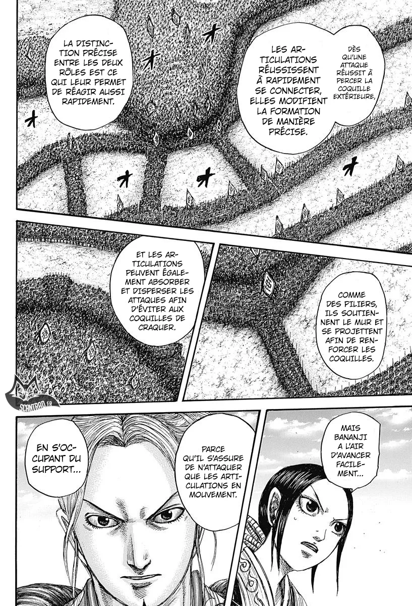 Kingdom - 557 - 6554178a2c981.webp