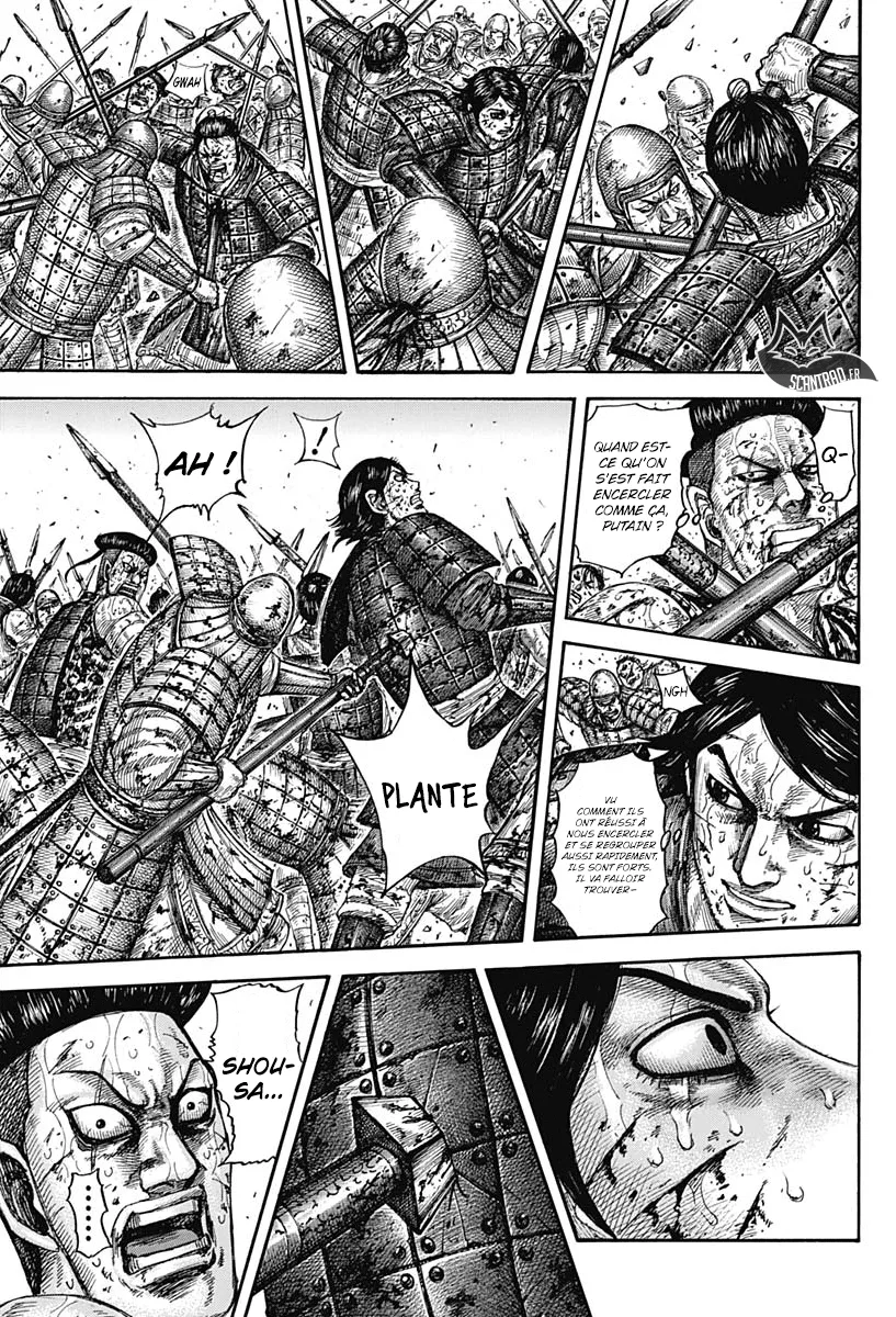 Kingdom - 592 - 65541841b4b54.webp