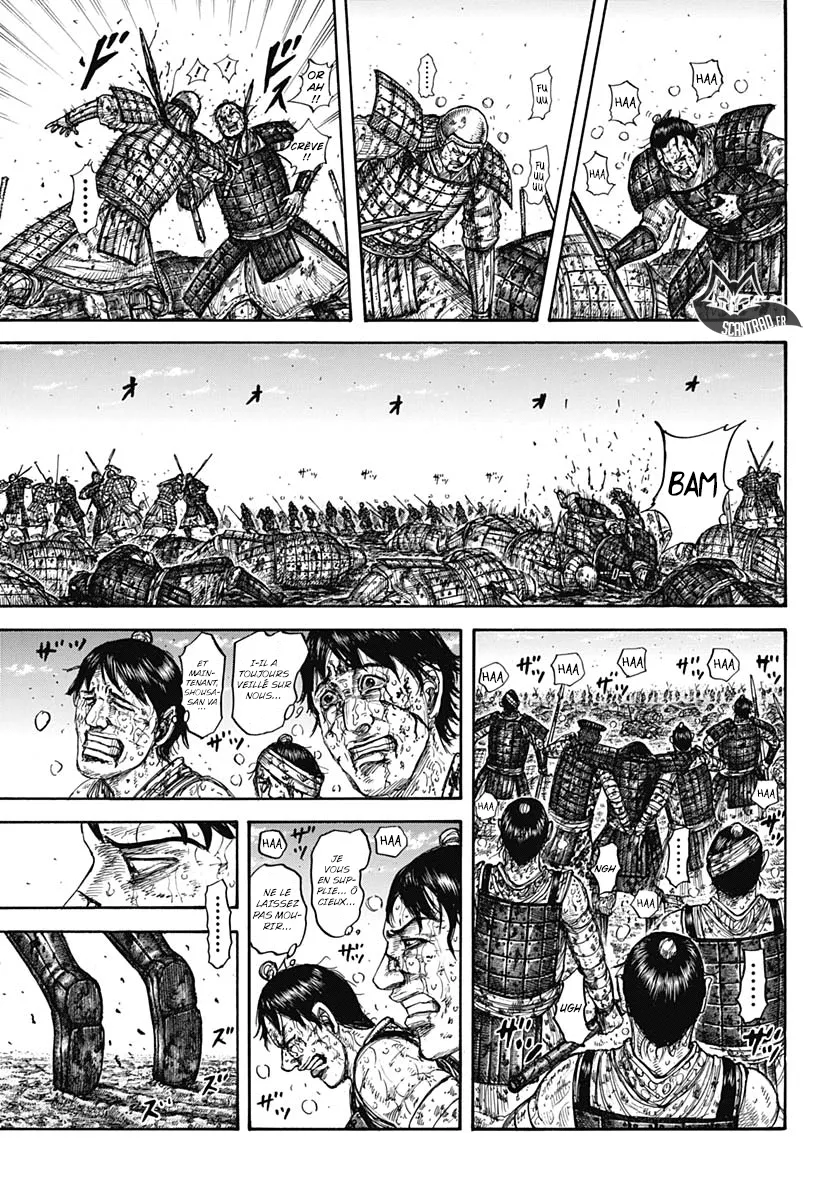 Kingdom - 593 - 65541844c32ce.webp