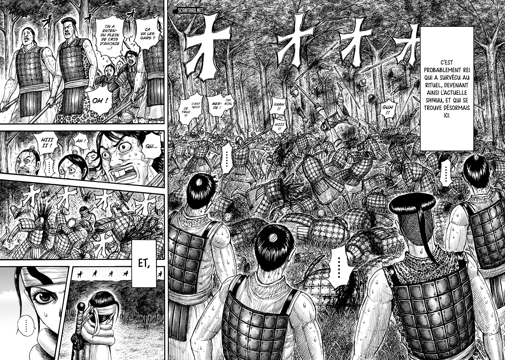 Kingdom - 665 - 655419f7a485c.webp