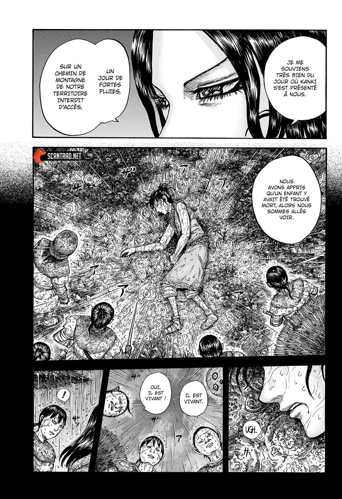 Kingdom - 729 - 65541b9e2e9d9.webp