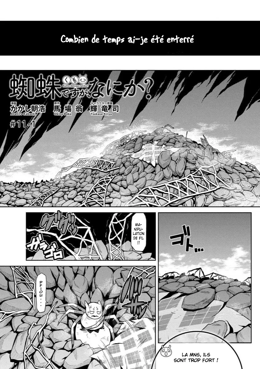 Kumo Desu Ga, Nani Ka? - 11.1 - 65f1b38c6386f.webp