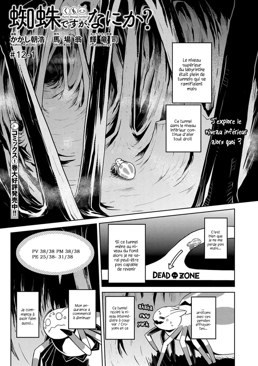 Kumo Desu Ga, Nani Ka? - 12.1 - 65f1b39140f73.webp