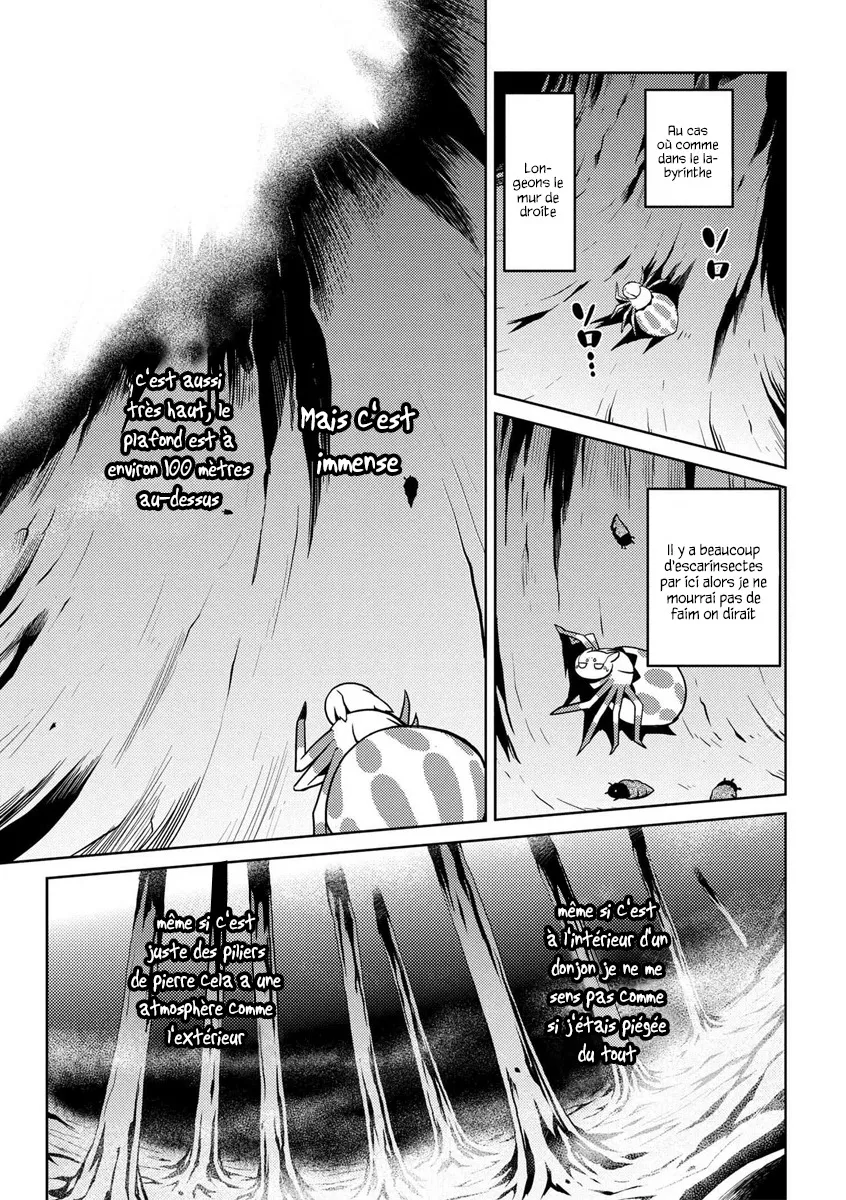 Kumo Desu Ga, Nani Ka? - 12.1 - 65f1b393bad78.webp