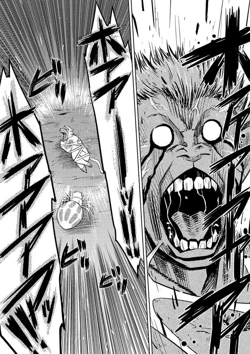 Kumo Desu Ga, Nani Ka? - 13.1 - 65f1b39a731d9.webp