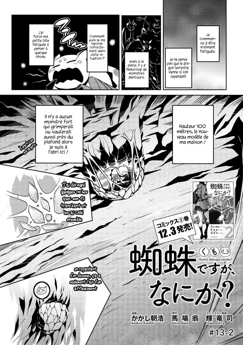 Kumo Desu Ga, Nani Ka? - 13.2 - 65f1b39b8860b.webp