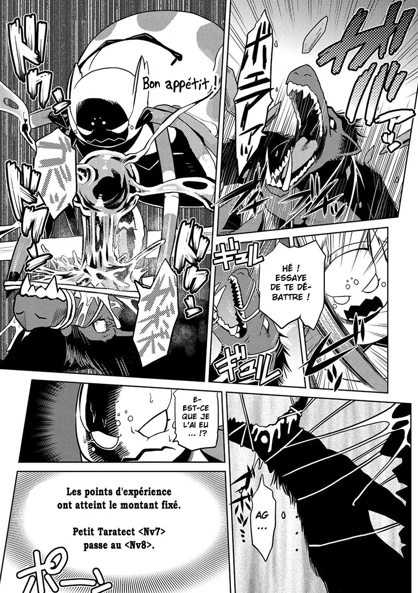 Kumo Desu Ga, Nani Ka? - 14.2 - 65f1b3a5e6e9e.webp