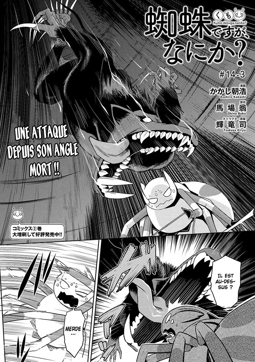 Kumo Desu Ga, Nani Ka? - 14.3 - 65f1b3a744f8c.webp