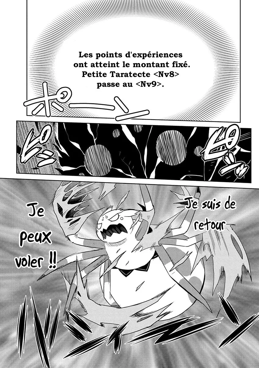 Kumo Desu Ga, Nani Ka? - 14.3 - 65f1b3a876586.webp