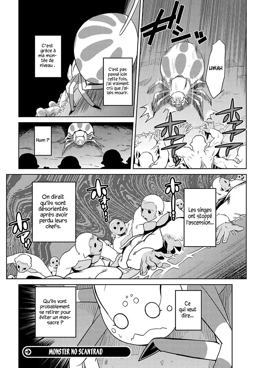 Kumo Desu Ga, Nani Ka? - 14.3 - 65f1b3a8a4738.webp