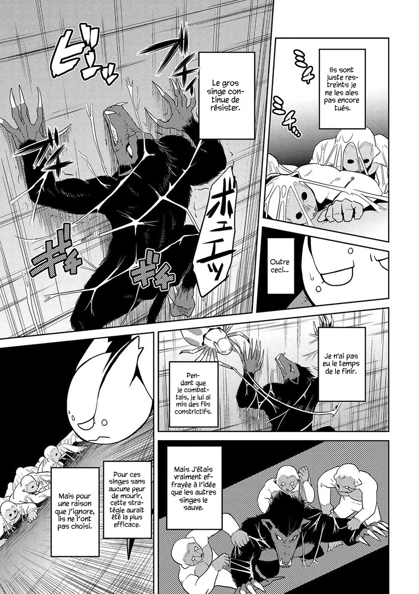 Kumo Desu Ga, Nani Ka? - 14.4 - 65f1b3a97299f.webp