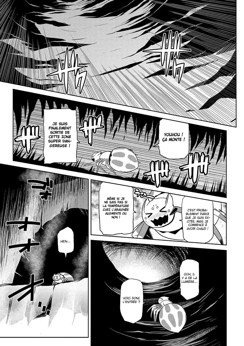 Kumo Desu Ga, Nani Ka? - 14.4 - 65f1b3abc3ac4.webp