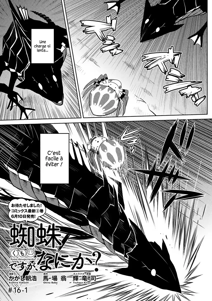Kumo Desu Ga, Nani Ka? - 16.1 - 65f1b3c3e2223.webp