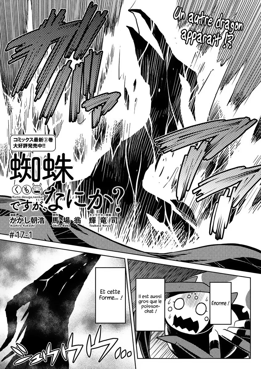 Kumo Desu Ga, Nani Ka? - 17.1 - 65f1b3ca1cee8.webp
