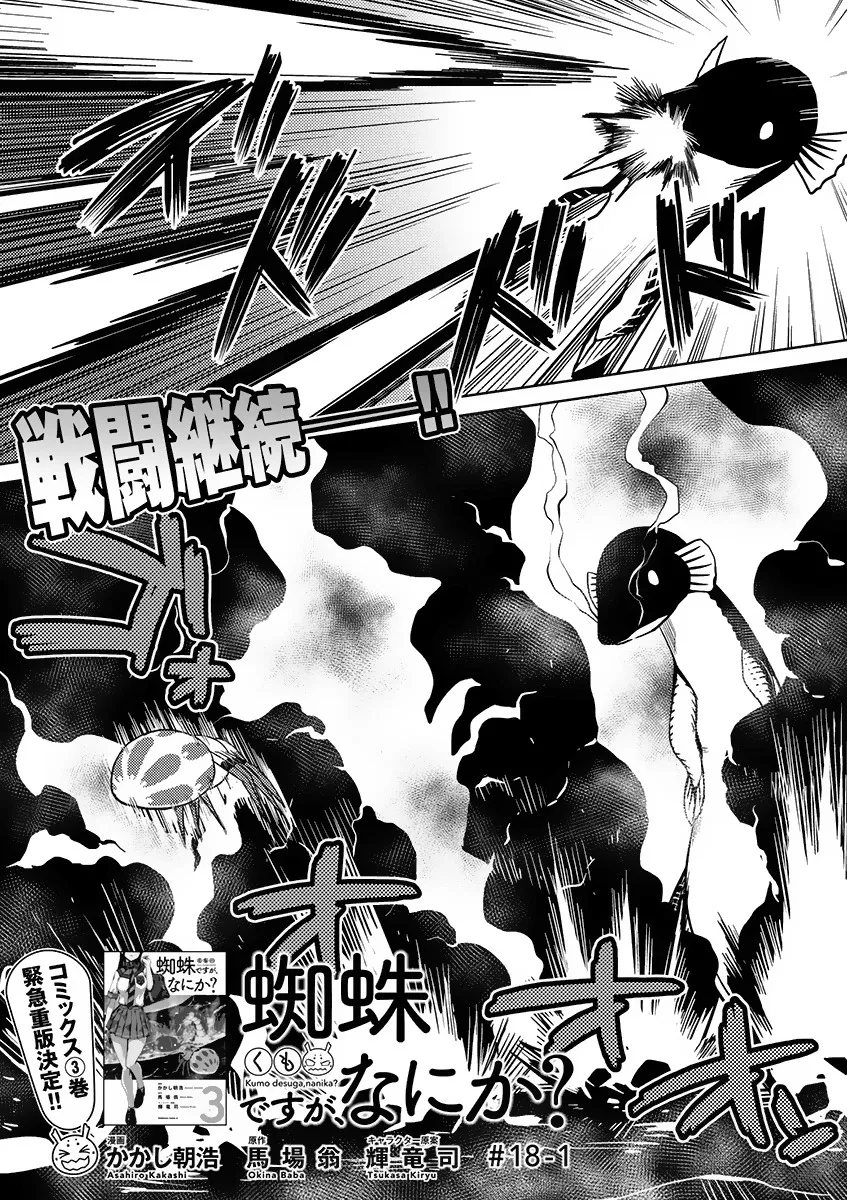 Kumo Desu Ga, Nani Ka? - 18.1 - 65f1b3d07595c.webp