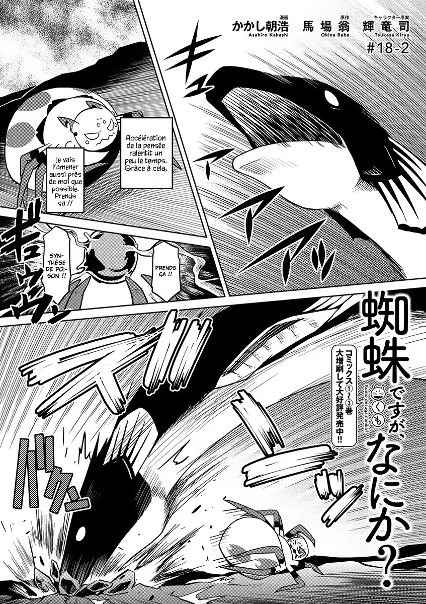 Kumo Desu Ga, Nani Ka? - 18.2 - 65f1b3d3b9ae7.webp