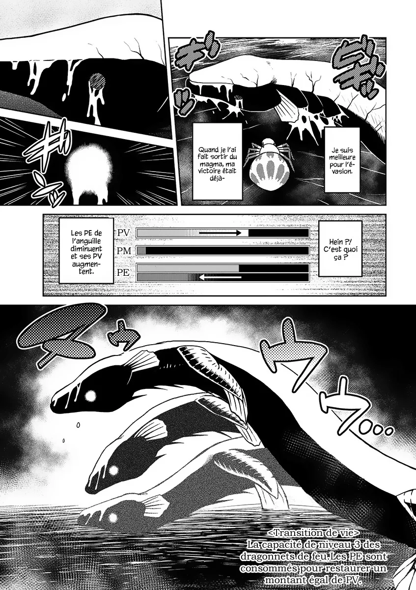 Kumo Desu Ga, Nani Ka? - 18.2 - 65f1b3d4210b9.webp