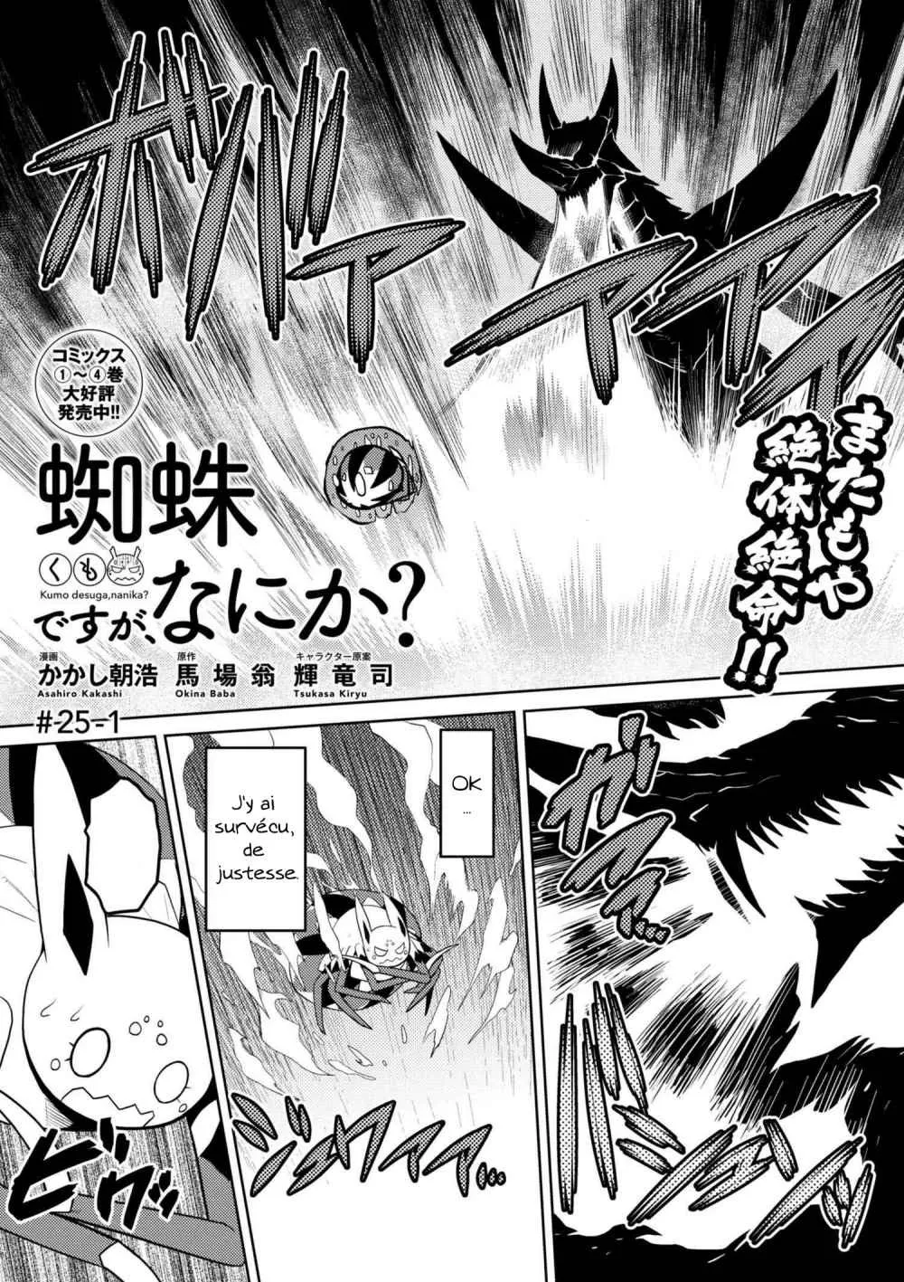 Kumo Desu Ga, Nani Ka? - 25.1 - 65f1b41c541ab.webp