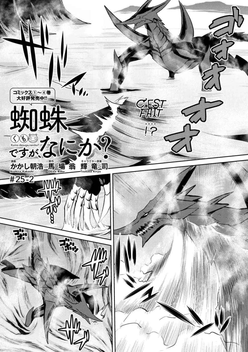 Kumo Desu Ga, Nani Ka? - 25.2 - 65f1b42014c9e.webp