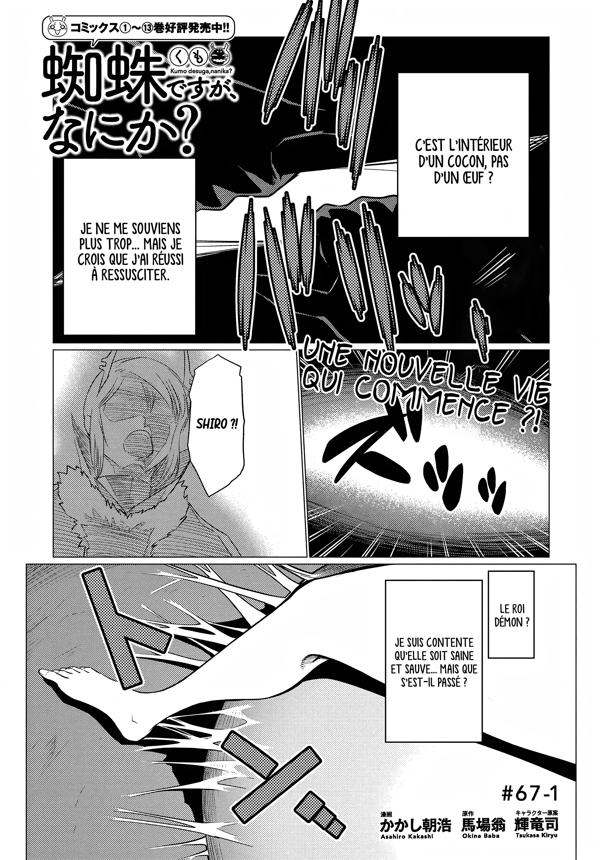 Kumo Desu Ga, Nani Ka? - 67.1 - 65f1bec303e05.webp