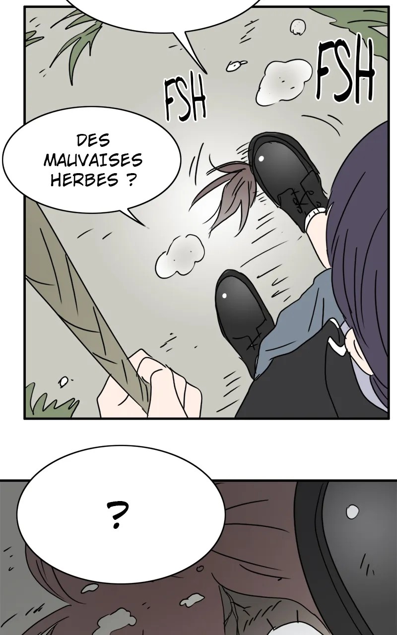 La Maison D'Émilie - 10 - 67e9767ad9c44.webp