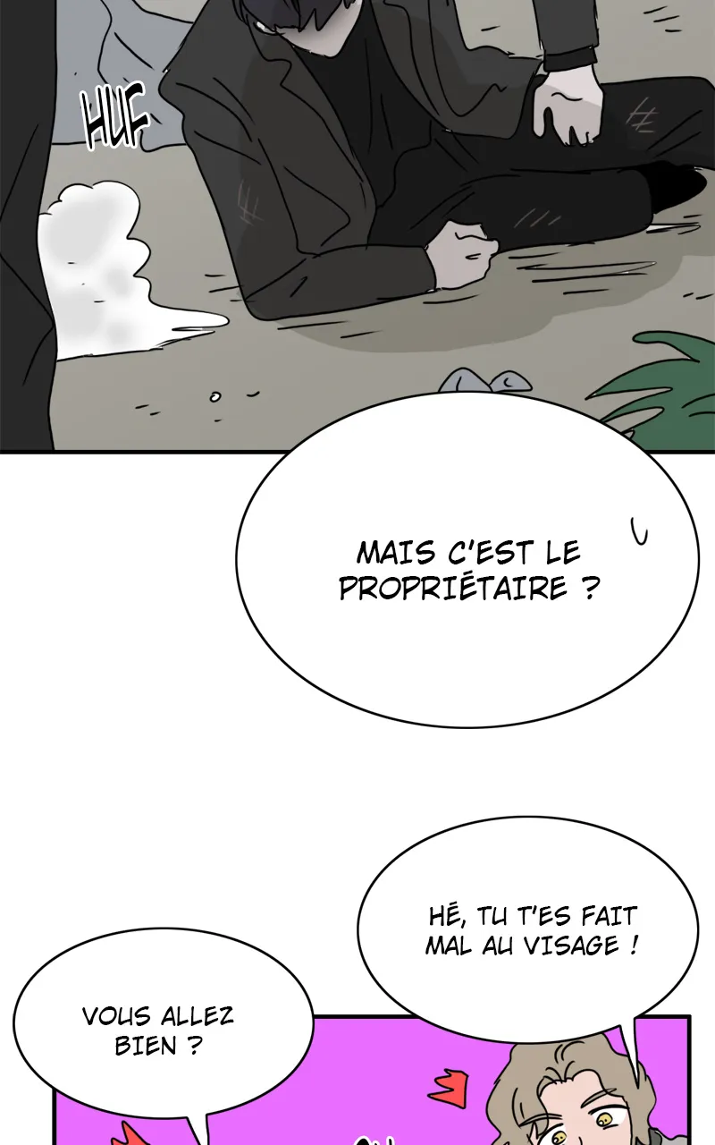 La Maison D'Émilie - 15 - 67e9769147bd2.webp