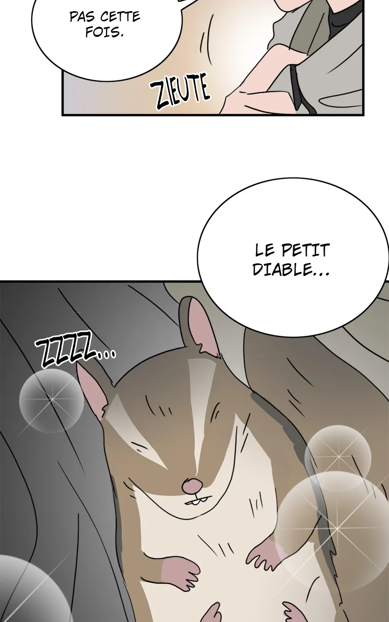 La Maison D'Émilie - 15 - 67e9769419118.webp