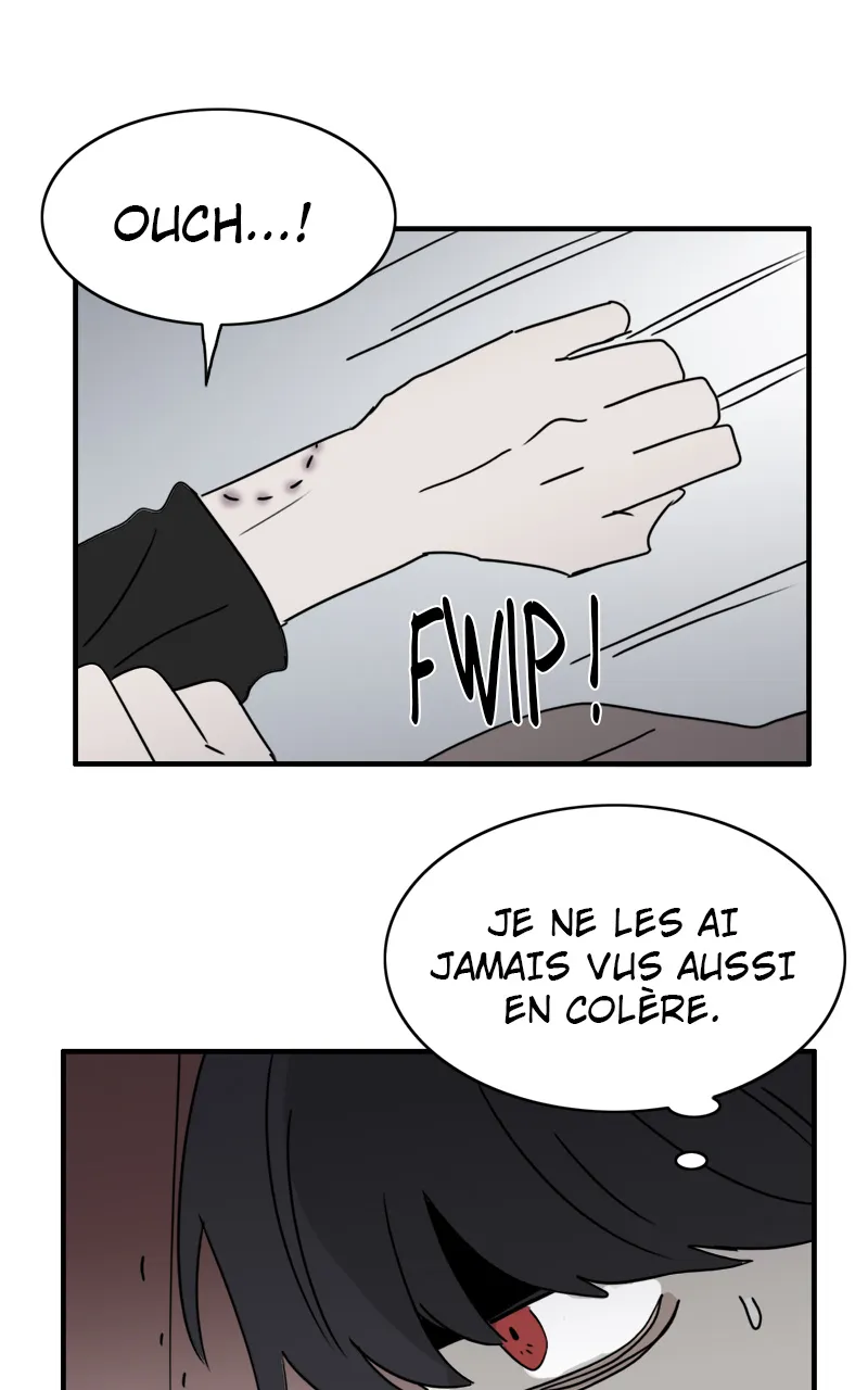 La Maison D'Émilie - 6 - 67e976a8e1ece.webp