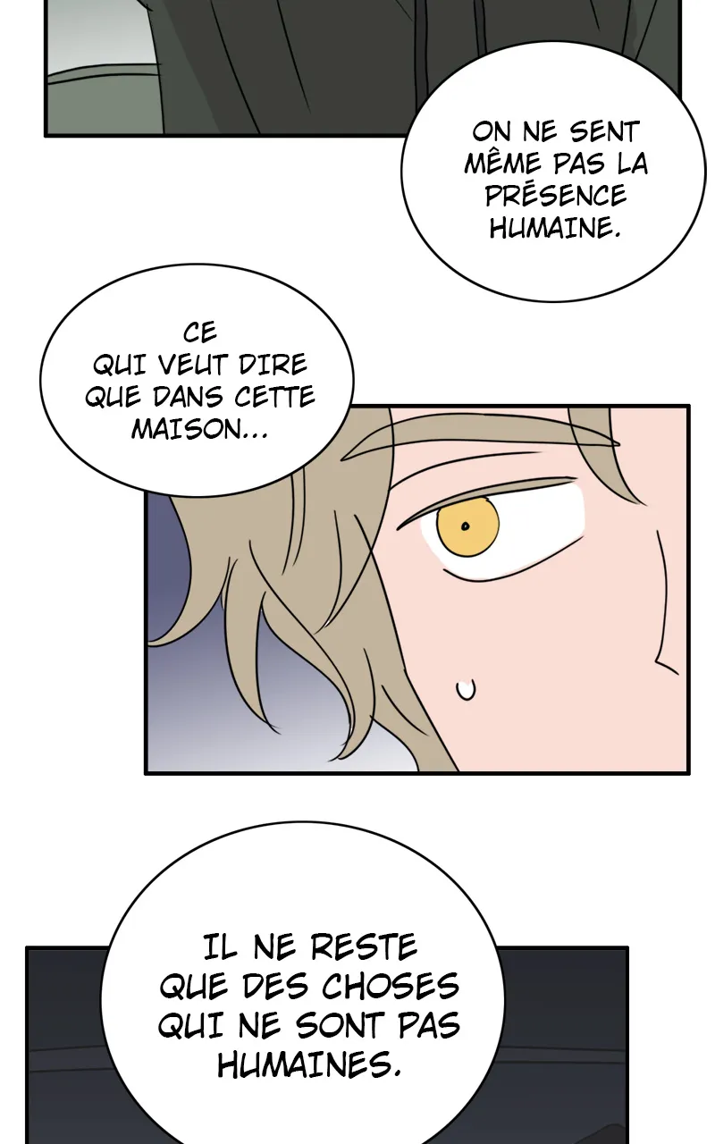 La Maison D'Émilie - 8 - 67e976b4e66df.webp