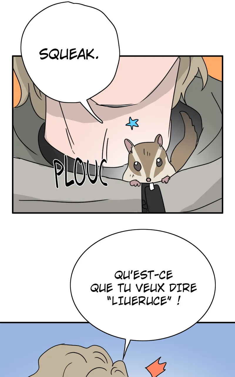 La Maison D'Émilie - 8 - 67e976b5294e0.webp