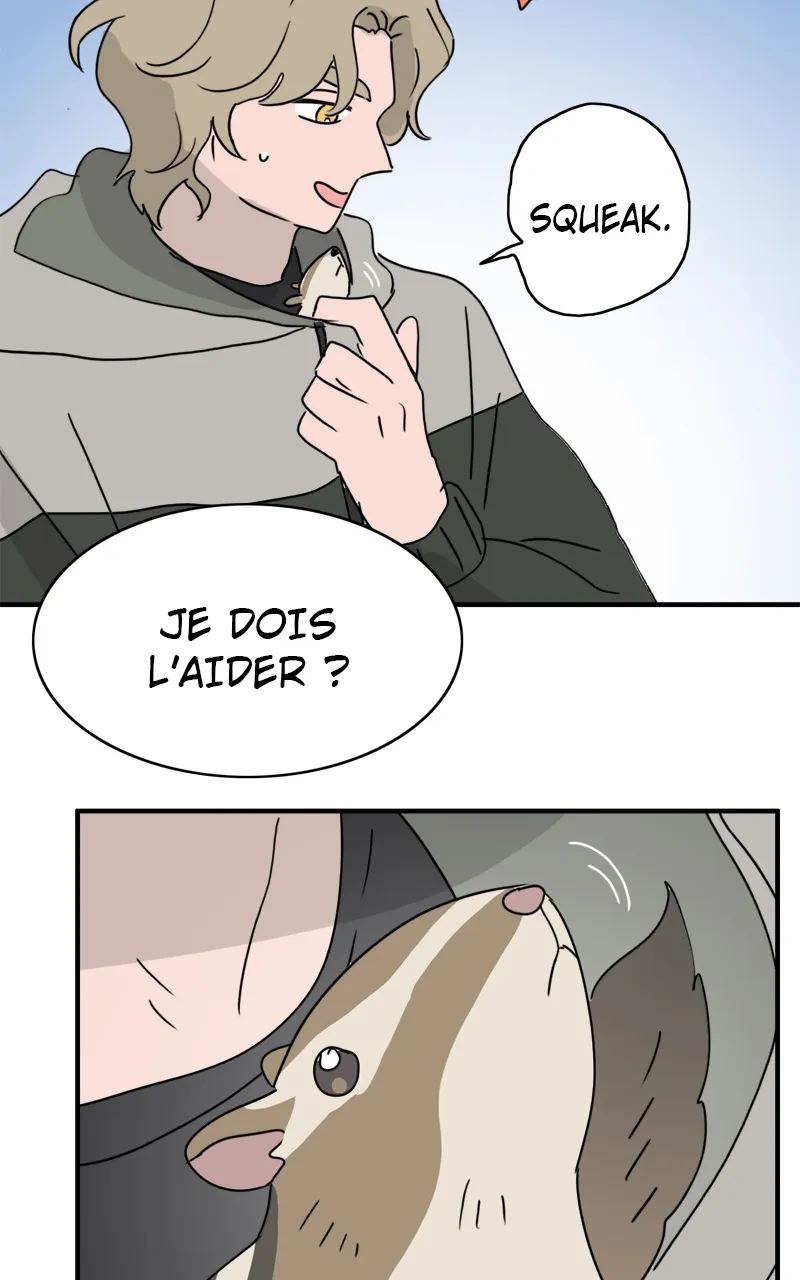 La Maison D'Émilie - 8 - 67e976b545621.webp