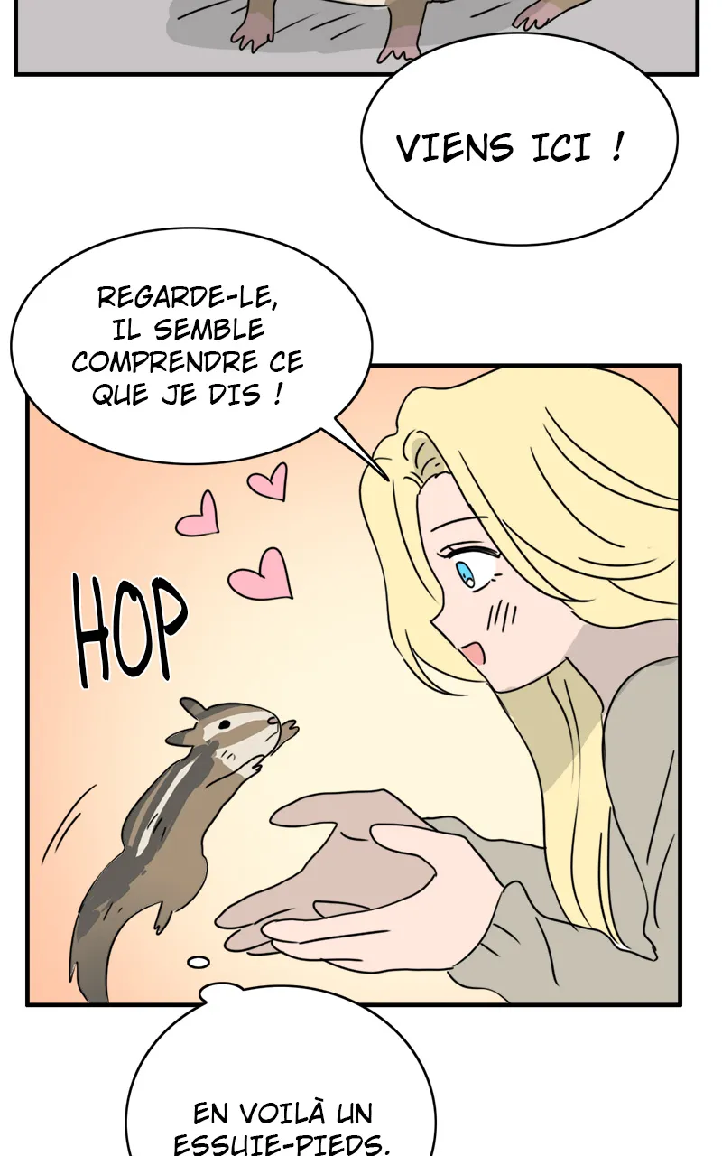 La Maison D'Émilie - 8 - 67e976b6bad11.webp