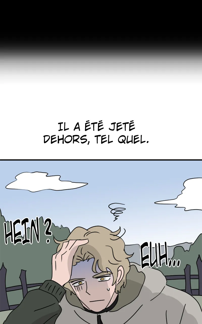 La Maison D'Émilie - 9 - 67e976b8bc9b8.webp